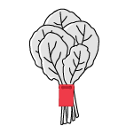 illustration of leafy greens bunched by a red produce tag.