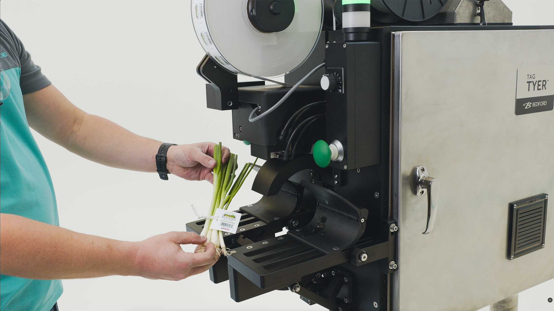 Bedford Produce Automation Now Available for Green Onions