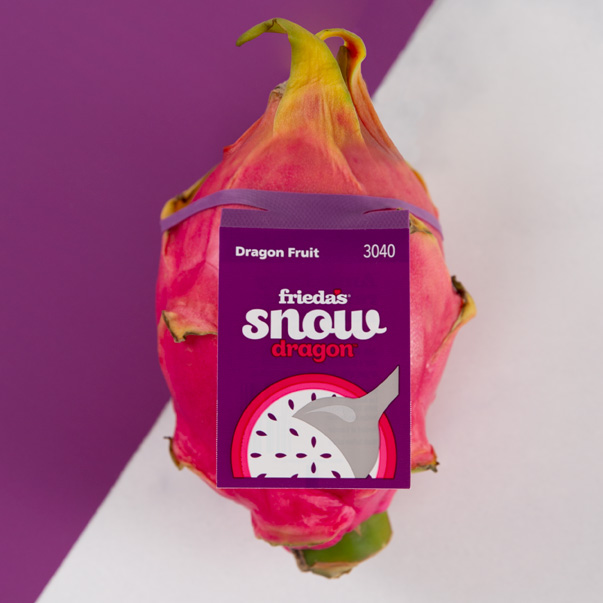 A purple produce rubber band tag around a pink Freida's brand Snow Dragon dragon fruit.