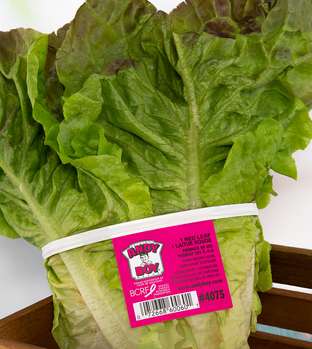 A hot pink fresh produce tag with barcode labeling and bunching a head of Andy Boy brand red leaf lettuce.
