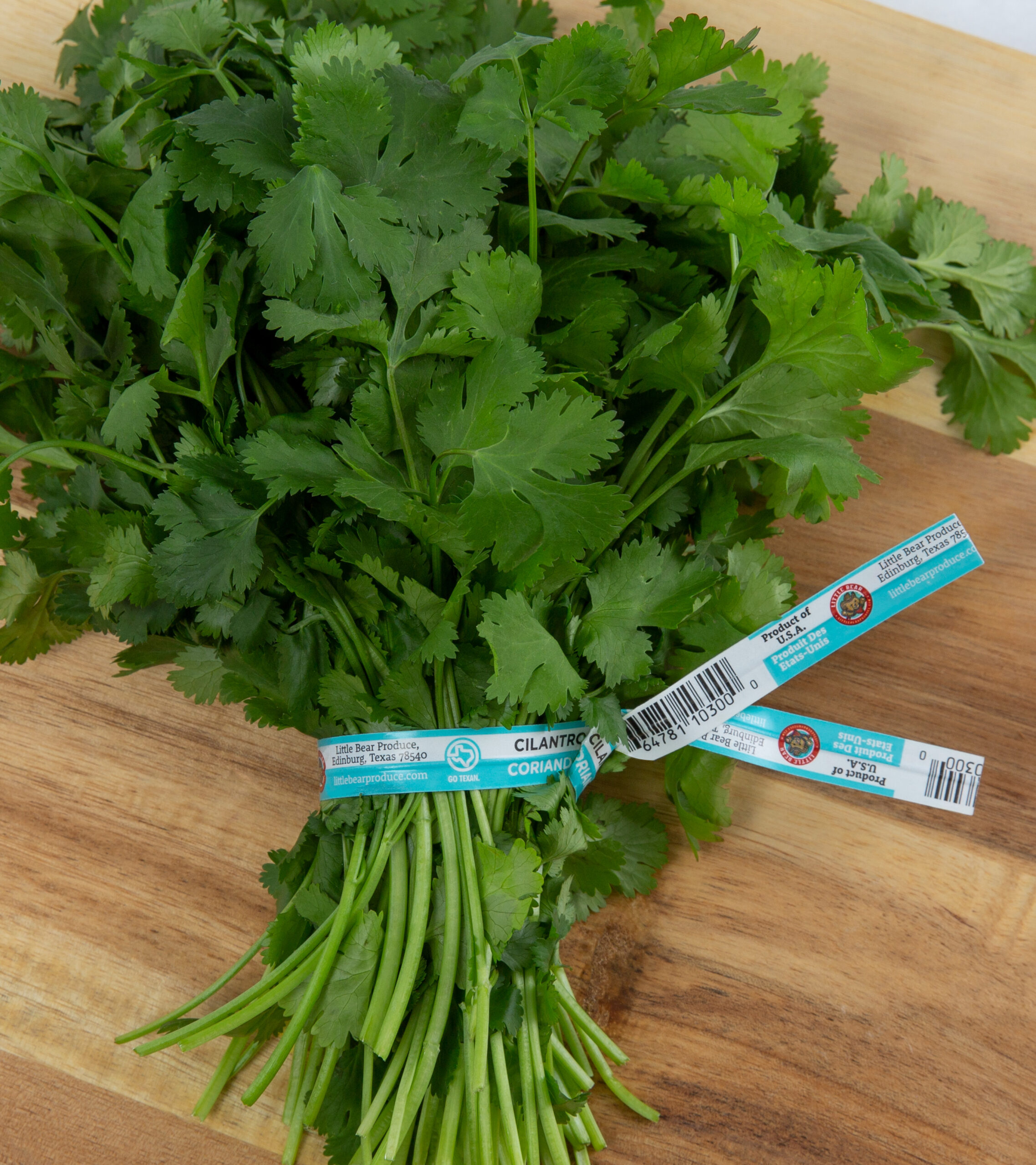 A teal organic produce twist tie bundles a batch of cilantro.
