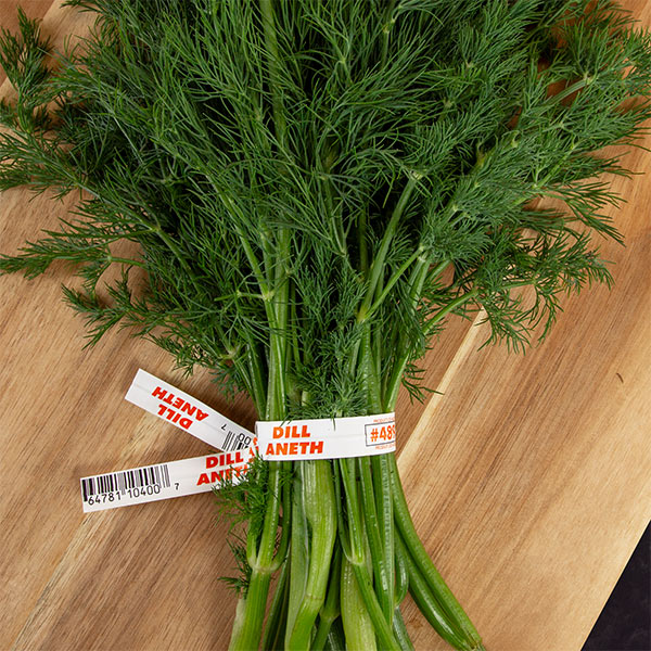 A bunch of fresh dill tied together with a white barcode produce tie label that says "DILL ANETH #480"