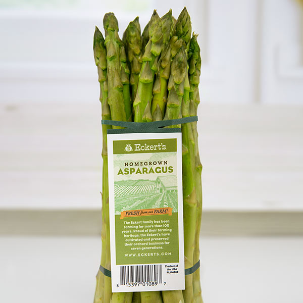 A bunch of fresh, green asparagus spears bunched together with an elastic tag label that says "Eckert's HOMEGROWN ASPARAGUS" and other product information.