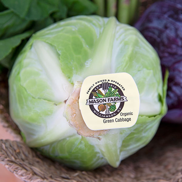 A large, green cabbage with a butt tag that says "Mason Farms Organic Green Cabbage". The label also has a logo with a farm scene and the text "Family Owned & Operated Est. 1810 Williamson, NY".