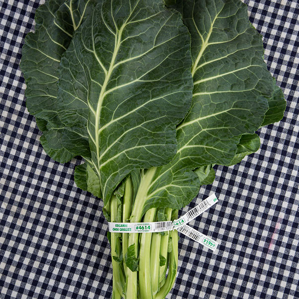 A bunch of fresh, green collard greens tied together with a produce tie label and barcode that says "#4614 COLLARDS CHOU CAVALIER"